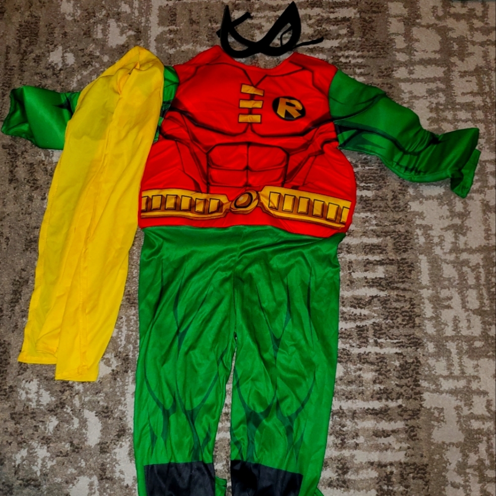 Boys Robin costume